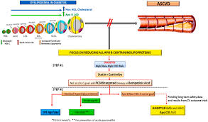 Lipid-lowering in diabetes: An update - Atherosclerosis