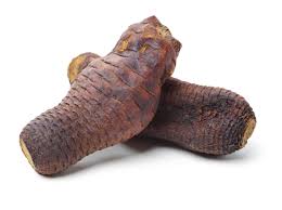 Image result for Cistanche