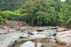 We've rounded up stunning janda baik resorts, homestays and chalets so you can have the best nature retreat in malaysia! Janda Baik Pahang Expatgo