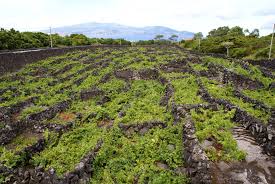 Alguns dos seus destinos mais visitados são a ilha de são miguel, a cidade de angra do heroísmo. Acores Vr Wikipedia
