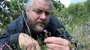 Så får Emil ängsmarken att blomma igen