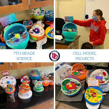 Maybe you would like to learn more about one of these? Davidson Day School Yesterday Davidsonday 7th Grade Students Presented Their Cell Model Projects The Culmination Of Their First Unit Of Study On Cell Structure And Function In Their Science Course For