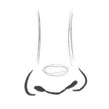 (step 09) draw the sides of his hair. 20 Tutorials For Beginners How To Draw People Bardot Brush