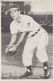 Image result for Gray 1952 Fleet