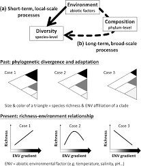 evolutionary constraints on species diversity in marine