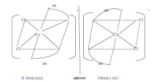 Under shear ow is investigated for variety of shear rates. I What Type Of Isomers Are Co Nh3 5br So4 And Co Nh3 5so4 Br Give A Chemical Test To Distinguish Between Them Ii Write The Structures Of Optical Isomers Of The Complex Ion Co En 2cl2 From Class 12 Isc