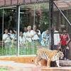 Minizoo dobuļi var iepazīties ar daudzveidīgu un interesantu savvaļas dzīvnieku, mājdzīvnieku un putnu kolekciju. 1