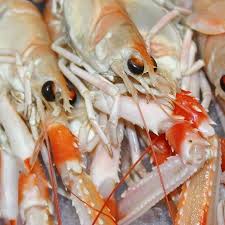 I Love Langoustine It Really Annoys That We Export Most Of Our Catch To Europe And That We Don T Enjoy A Plentiful Supply Of What Has T World Recipes Food Eat