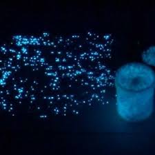 Glow in the dark wall or ceiling stars. Aqua Extreme Techo De Estrella Brillan En La Oscuridad Pintura Uv Luz Negra Flouresce 1 Pinta Ebay