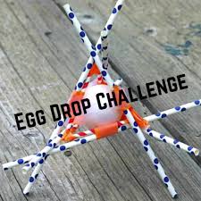Have You Tried The Egg Drop Science Ideas For Kids