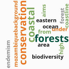 Image result for Warneckea cordiformis