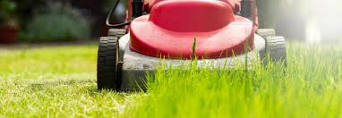 Rasen mähen ist nicht nur wichtiger bestandteil der gartenpflege, sondern bereitet vielen menschen freude. Rasen Richtig Mahen Ç€ Toom Baumarkt