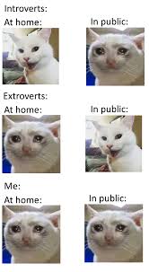 30 Funny Memes From This Week Funny Memes Memes Best Funny Pictures