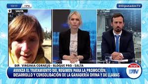 Jul 23, 2019 4 min read. Virginia Cornejo Diputada Del Pro Sobre La Modificacion De La Ley Ovina Quienes Han Trabajado En Esta Prorroga Manifiestan Que No Se Estan Actualizando Los Montos Como Para Poder Tener Una Mayor