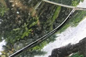 Most car wash compounds can remove water spots from a car's body, but won't efficiently remove the spots on your car windows. How To Remove Water Spots From Your Car Gold Eagle Co