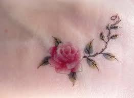 25 Best Ideas About Rose Vine Tattoos On Pinterest Flower Vine Pink Rose Tattoos Small Rose Tattoo Tiny Rose Tattoos
