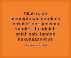 Pernikahan bukan tentang dua insan yang melebur menjadi satu. Kata Islami Tentang Pernikahan Yang Harmonis Dan Bahagia