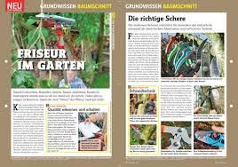 Grundwissen Baumschnitt Stauden Pflanzen Und Schnittchen