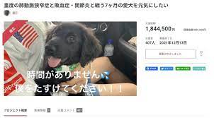 死んだ愛犬「闘病中」とネット資金調達 有罪女の浅知恵 - 産経ニュース