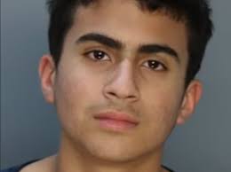 Campaña en Change.org pide que "salven" a Derek Rosa, acusado en Florida de  matar a puñaladas a su madre