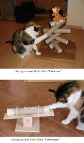 Diy Treats Puzzle For Cats Great For Buying A Couple Of Mins When U Need To Rush For To Work Without Worrying About T Katzen Spielzeug Katzen Katzenspielzeug