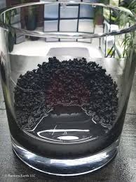 Diy Mini Paludarium Using Sidewalk Moss A Few Rocks A Little Soil Planted Aquarium Aquascape Design Diy Water