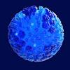The first strong evidence that the virus scientists already track mutations in bird flu viruses found in patients, but this kind of surveillance does not give health authorities time to respond if they. 1