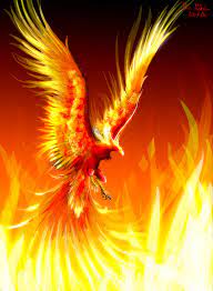A phoenix is a mythical bird with colorful feathers and a tail of gold and scarlet. Phoenix Bird Quotes Quotesgram