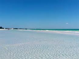 Turtle Season On Anna Maria Island | Lizzie Lu'S Island Retreat