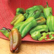 Preheat oven to 400 degrees. Plant Cajun Bell Pepper Stuffed Peppers Stuffed Bell Peppers Stuffed Hot Peppers