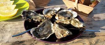 He says that is still the case with the full implementation of brexit this year. The Essentials Of Nouvelle Aquitaine Gourmet Cuisine