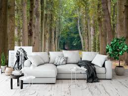 Msi manufactures products sold worldwide for home and industry. Wallpaper Mural Old Oak And Beech Trees Lane