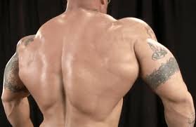 Check spelling or type a new query. Los Mejores Alimentos Para Fortalecer Musculos De La Espalda