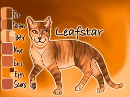 She knew all the names of her past she never thought that she would become leafstar. Old Leafstar Image By Jayie The Hufflepuff On Deviantart