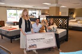 Using our simple easy buy system means you can be sleeping easy sooner than. City Mattress Lends Support To Big Dog Ranch Rescue City Mattress