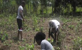 Information and translations of nyawa in the most comprehensive dictionary definitions resource on the web. Environmental Education At Asa Global Asa