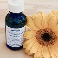 The infused oil can be used as: 16 Flower Essences Ideas Flower Essences Essence Flowers
