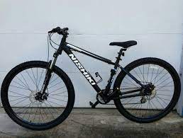 My Nishiki 29er Colorado Mountain Bike Nishiki Mountain Bike Mountain Biking Bike