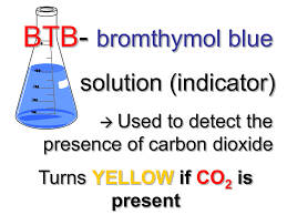 co 2 btb solution