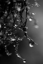 Artistic Black And White Art Photography Pin On Black White Sepia