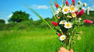 Blumenversand in.deutschlandweit blumen verschicken und zu jedem anlass per blumenversand freude schenken. Frauentag Blumen Verschicken Letzte Chance Fur Punktliche Strausse Zu Ehren Der Frau