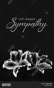 Finding the right words to help comfort someone grieving is often difficult. Sympathy Card Funeral Image Photo Free Trial Bigstock