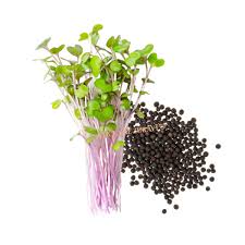 Image result for kadeřávek