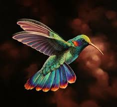 Colorful Hummingbird Beautiful Birds Pretty Birds Colorful Birds