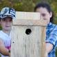 Hanningfield Bird Box Building event image