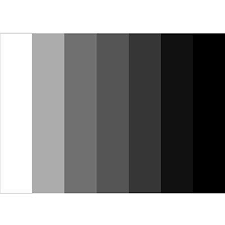 Heres An Example Of A Tonal Value Chart You Should Try