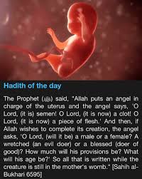 Halal or haram if bitcoin btc from the results faucet, mining, nuyul, giveaway, and gambling placed in the same wallet please lightening and further explanation before astray thanks before. Hadith Of The Day Islam