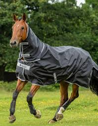 💦 🐴 ️ bucas decken ️ 🐴 💦. Bucas Smartex Halsteil