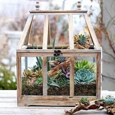 Mini Serre De Bois Avec Succulentes Succulent Garden Indoor Succulents Diy Diy Succulent Terrarium