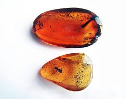 Pin By Nehad Nasar On Amber Orange Gemstone Orange Gem Gems And Minerals